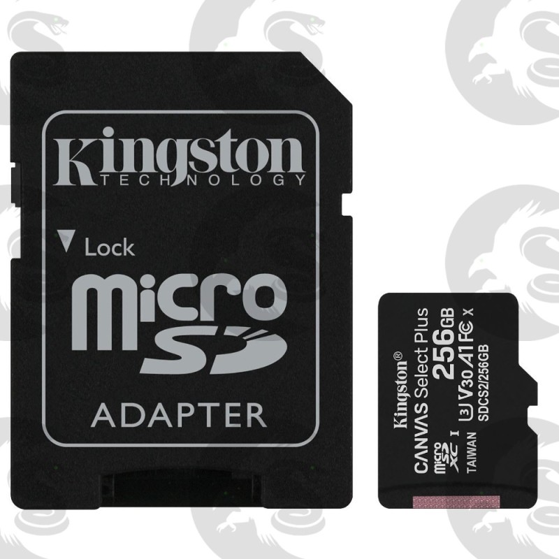 Carte mémoire micro SD | 256Go | Kingston (ou générique)