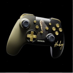 Harry Potter - Manette Switch Sans Fil
